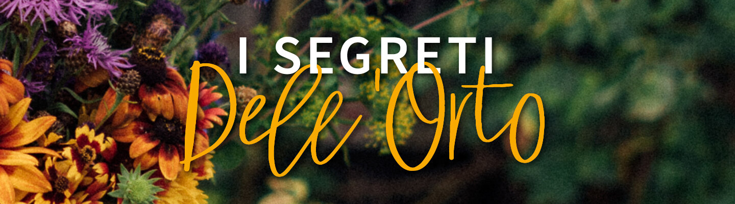 Blog: i sussurri del giardino