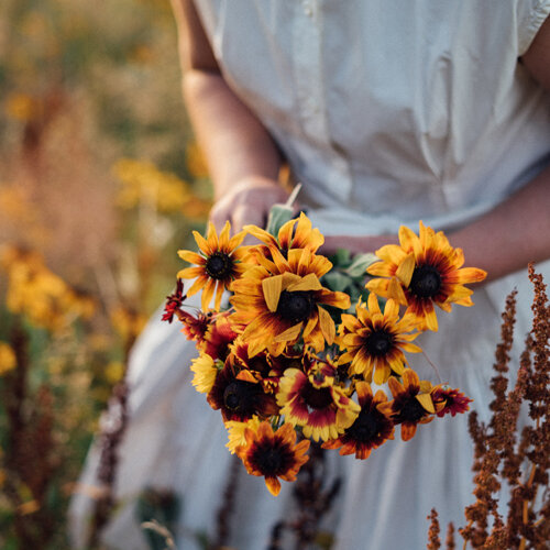 Blumen anbauen und ernten