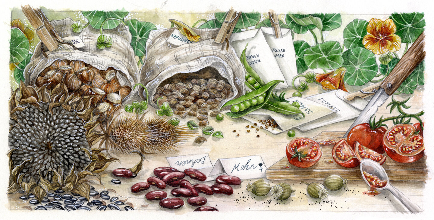 Saatgut-Sortiment von Magic Garden Seeds