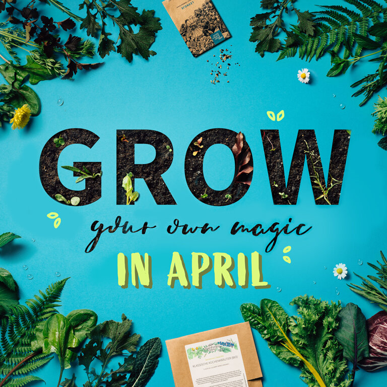 Quali piante si possono seminare all'aperto ad aprile?