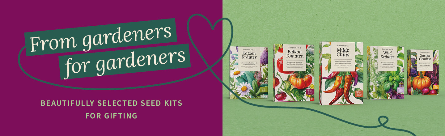 Banner promozionale per i nostri nuovi set di semi