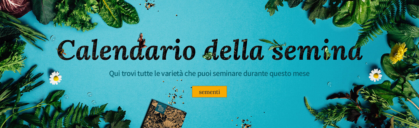 Cosa si può seminare all'aperto ad Maggio?