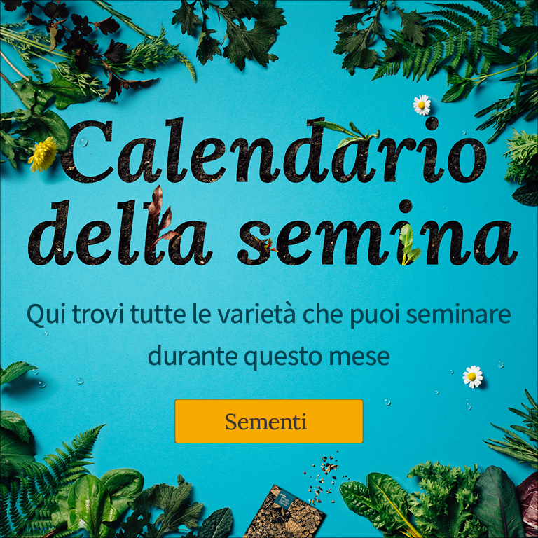 Cosa si può seminare all'aperto ad Maggio?