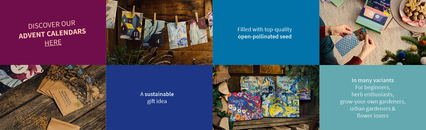 Banner promozionale per i calendari dell’Avvento con semi di Magic Garden Seeds