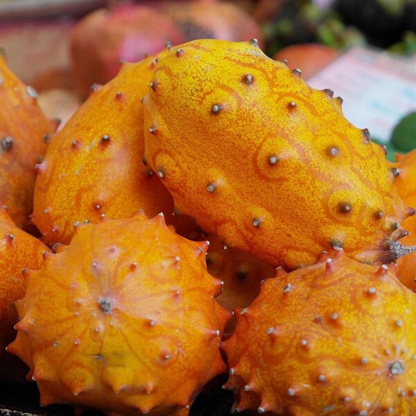 Kiwano (Cucumis metuliferus) semi