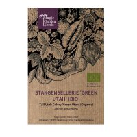 Sedano Green Utah (Apium graveolens) biologico semi