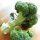 Broccolo Calabrese (Brassica oleracea) biologico semi