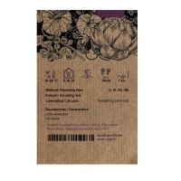 Peperoncino Carolina Reaper (Capsicum chinense)