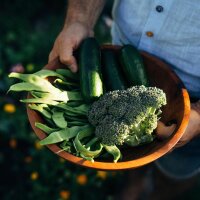 Periodo Magico - Calendario dellAvvento dei semi biologici - Orto colorato per lautosufficienza alimentare