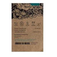 Cosmos rosa  Pink (Cosmos bipinnatus) semi