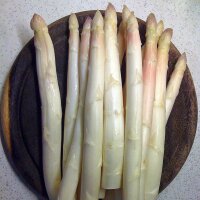 Sparagio bianco Ruhm von Braunschweig (Asparagus officinalis) semi