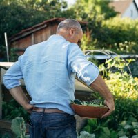 Orto colorato per lautosufficienza alimentare - Set per la coltivazione e la moltiplicazione dei semi biologici, per chi vuole coltivare le proprie verdure