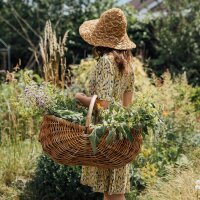 Il meraviglioso mondo delle erbe - Set per la semina e la moltiplicazione dei semi (biologici) di erbe aromatiche per chi vuole coltivare le proprie erbe