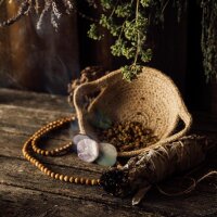 Il meraviglioso mondo delle erbe - Set per la semina e la moltiplicazione dei semi (biologici) di erbe aromatiche per chi vuole coltivare le proprie erbe