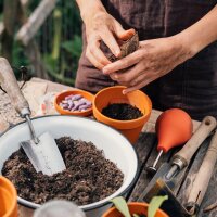 Le nostre piante preferite: Erbe e fiori commestibili per il giardinaggio urbano (Bio) - set regalo di semi