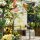 Le nostre piante preferite: Erbe e fiori commestibili per il giardinaggio urbano (Bio) - set regalo di semi