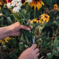 Le nostre piante preferite: piante da fiore annuali e perenni per amanti dei fiori (biologici) - Set regalo di semi