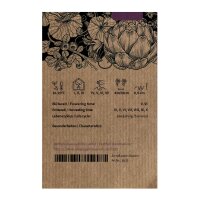 Cavolo rapa Superschmelz (Brassica oleracea var. gongylodes) semi