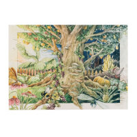 Le nostre piante preferite: piante da fiore annuali e perenni per amanti dei fiori (Bioi) - Set di semi