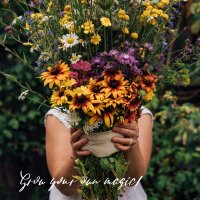 Le nostre piante preferite: fiori di campo per amanti dei fiori (Bio) - Set di semi