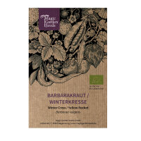 Erba di Santa Barbara (Barbarea vulgaris) semi