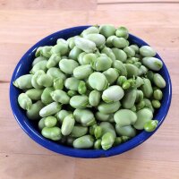 Fava Hangdown Grünkernig (Vicia faba) semi