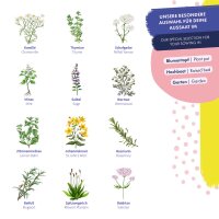 Semi di erbe medicinali - 12 varietà ad impollinazione aperta di erbe medicinali - tradizionali e benefiche - set di semi per principianti