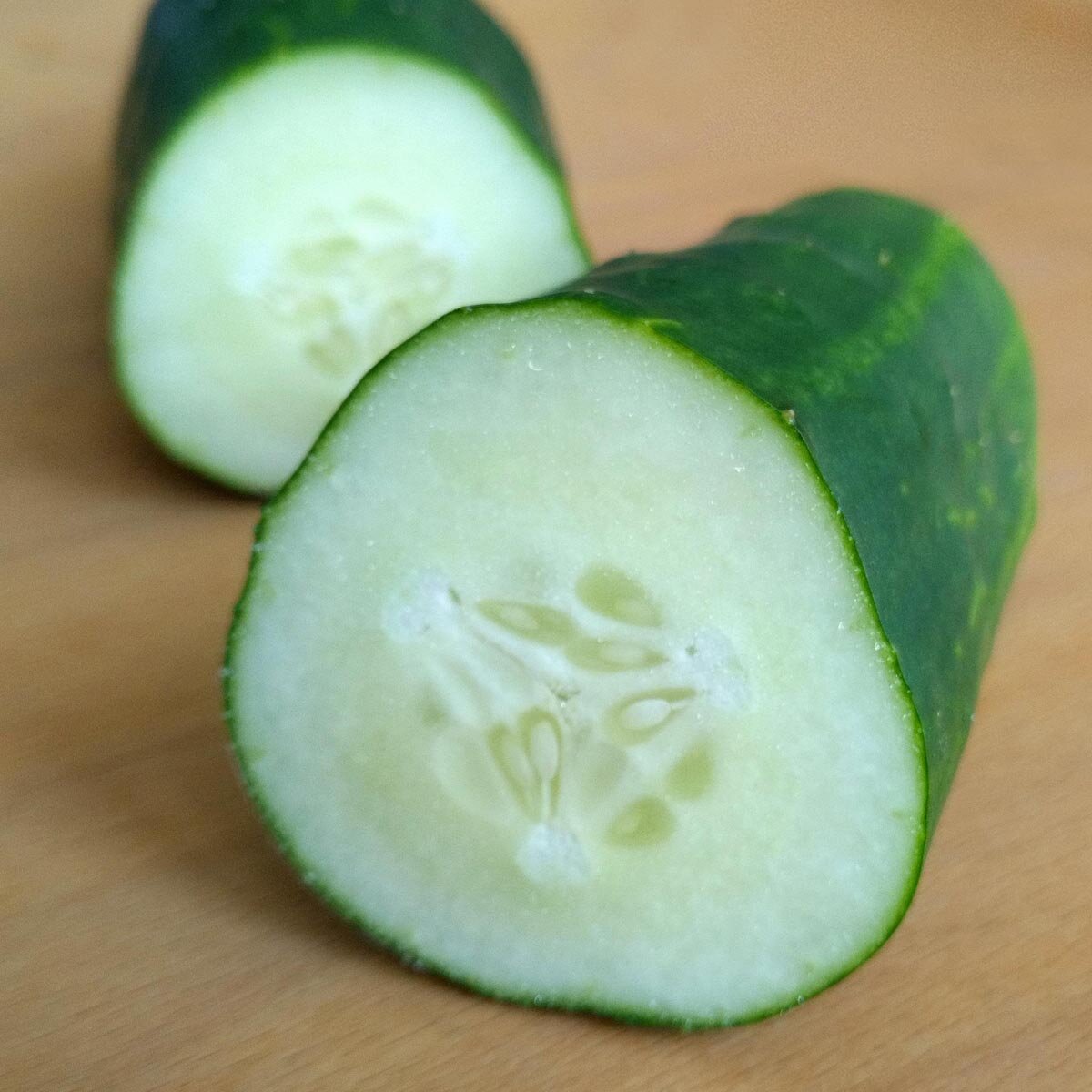 Vendita Semi di Cetriolo Wisconsin-Semi per Orto|Mondo Piante