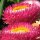 Elicriso lucido / Fiore di carta (Xerochrysum bracteatum) semi
