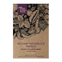 Zucchino Cocozelle di Tripolis (Cucurbita pepo) semi