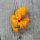Peperoncino Trinidad Perfume (Capsicum chinense ) semi