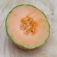 Melone cantalupo Charentais (Cucumis melo) semi