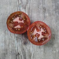 Pomodoro nero Black Russian (Solanum lycopersicum) semi