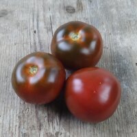Pomodoro nero Black Russian (Solanum lycopersicum)