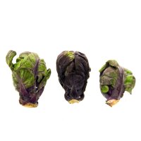 Cavoletti di Bruxelles Red Ball (Brassica oleracea var.gemmifera) semi