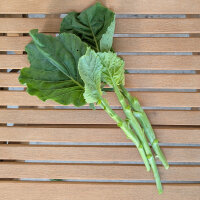 Broccolo cinese Kai-Lan (Brassica oleracea var. alboglabra) semi