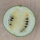 Anguria Cream of Saskatchewan (Citrullus lanatus) semi