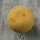 Melone Altai (Cucumis melo) semi