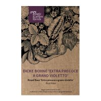 Fava extra precoce a grano violetto (Vicia faba) semi