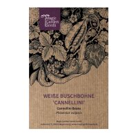 Fagiolo Nano Cannellino (Phaseolus vulgaris) semi