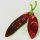 Peperoncino Guajillo (Capsicum annuum) semi