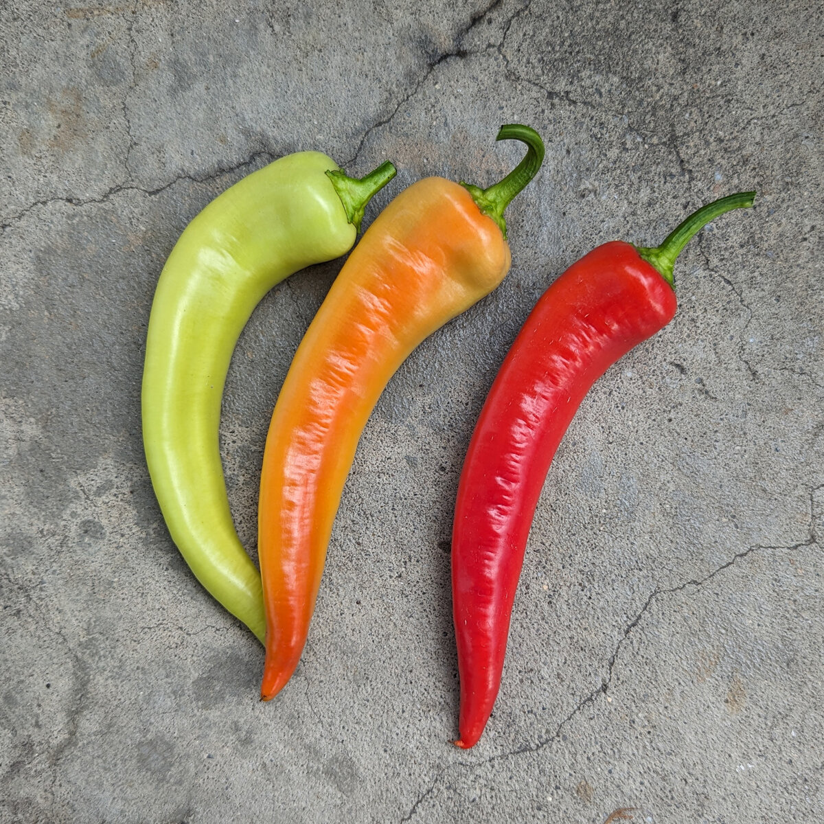 Semi Di Peperoncino 'Sweet Banana' - Capsicum Annuum, Non Piccante, Per Farcire E Grigliare (Circa 10 Semi)