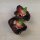 Peperoncino Chilhuacle Negro (Capsicum annuum) semi