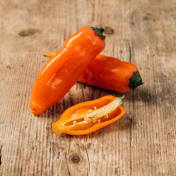 Peperoncino Aji Amarillo (Capsicum baccatum) semi