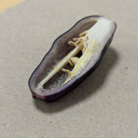 Peperoncino Pimenta Da Neyde (Capsicum chinense x annuum) semi