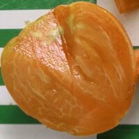 Pomodoro Cuore di Ashgabat (Solanum lycopersicum) semi