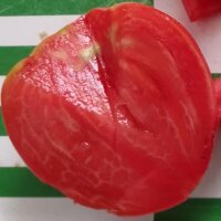 Pomodoro Cuore di Ashgabat (Solanum lycopersicum) semi