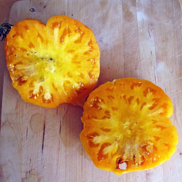 Pomodoro Persimmon (Solanum lycopersicum) semi