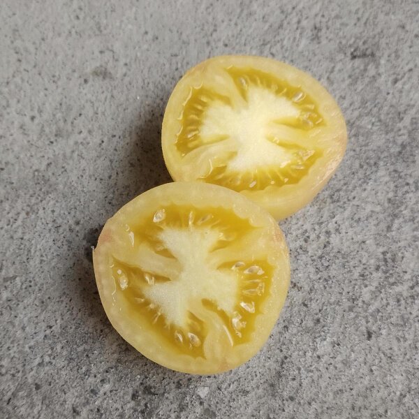 Pomodoro pesca Wapsipinicon Peach (Solanum lycopersicum) semi