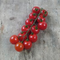 Pomodoro ciliegino Red Bell (Solanum lycopersicum)